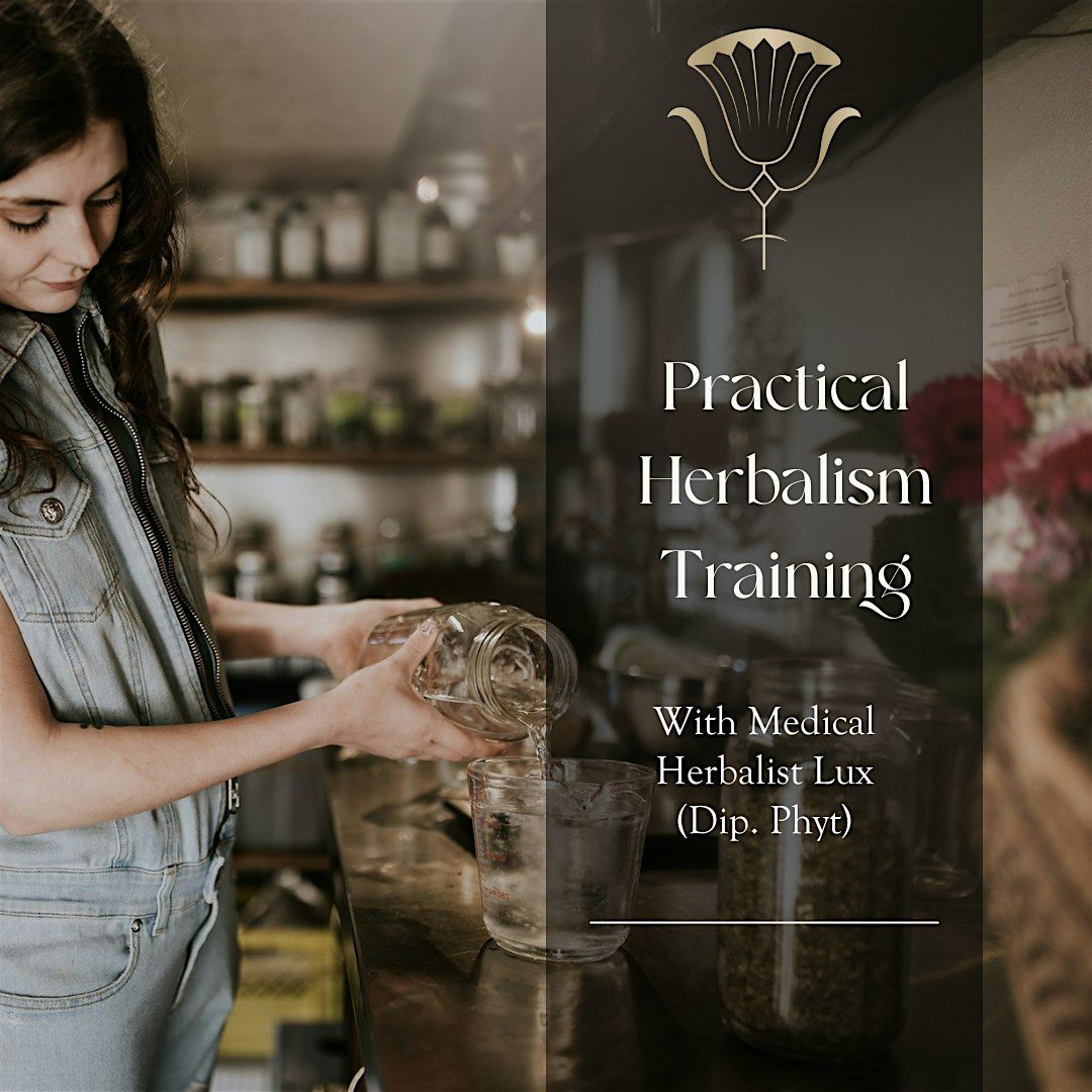 Part6 Practical Herbalism Training With Medical Herbalist - Lux (Dip. Phyt)