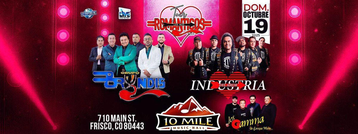 GRUPO BRYNDIS & INDUSTRIA DEL AMOR & MAS EN FRISCO