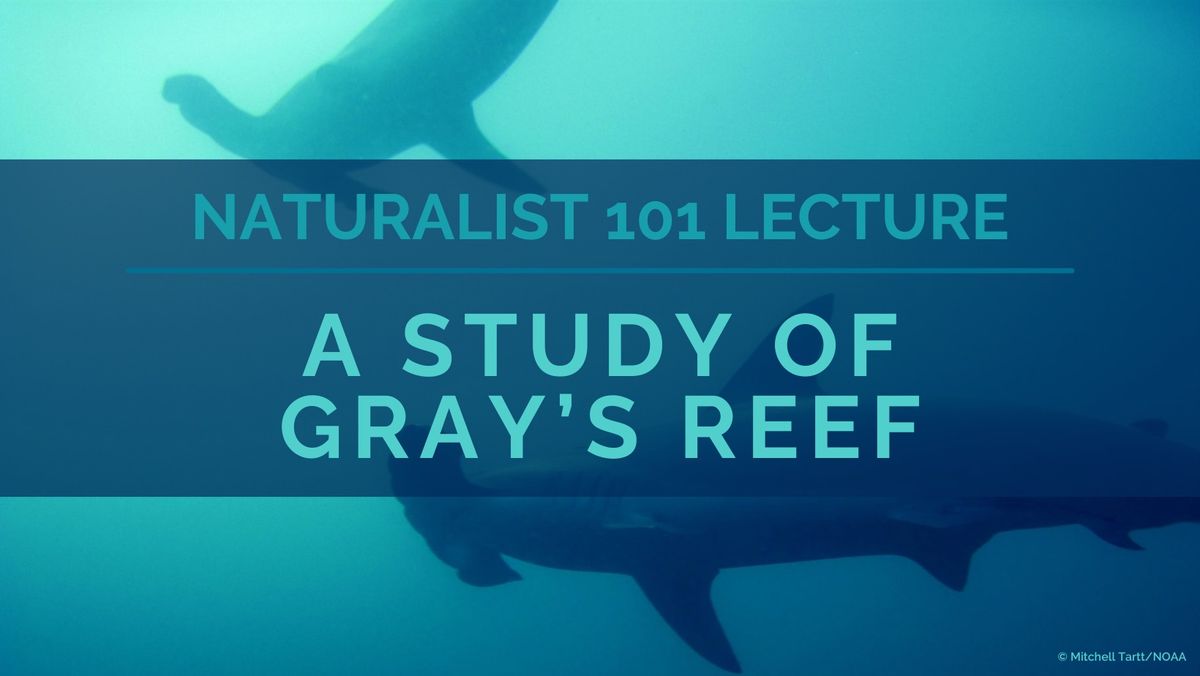 A Study of Gray's Reef (Naturalist 101 Lecture)