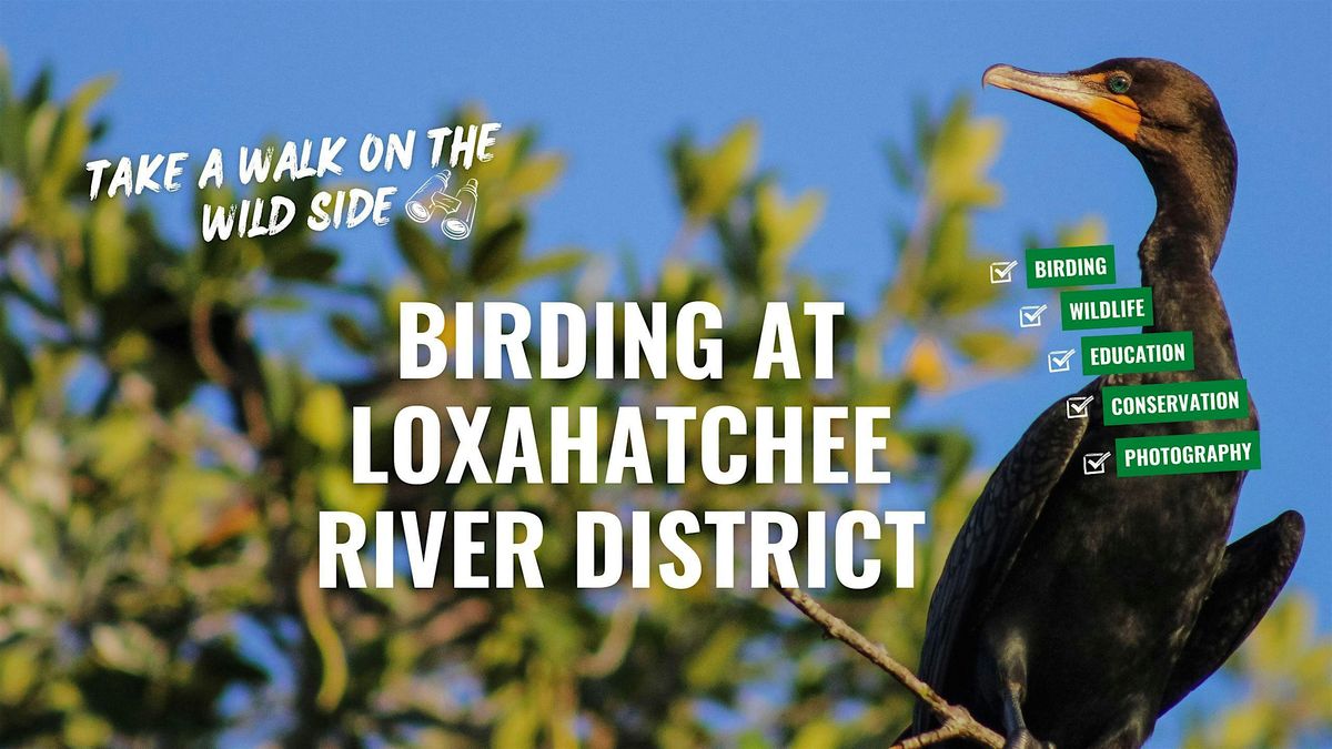 Birding at the Loxahatchee River District with the River Center