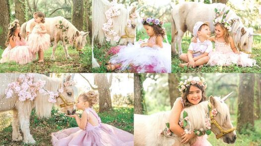 Mini Unicorn Photoshoots | Orlando, FL