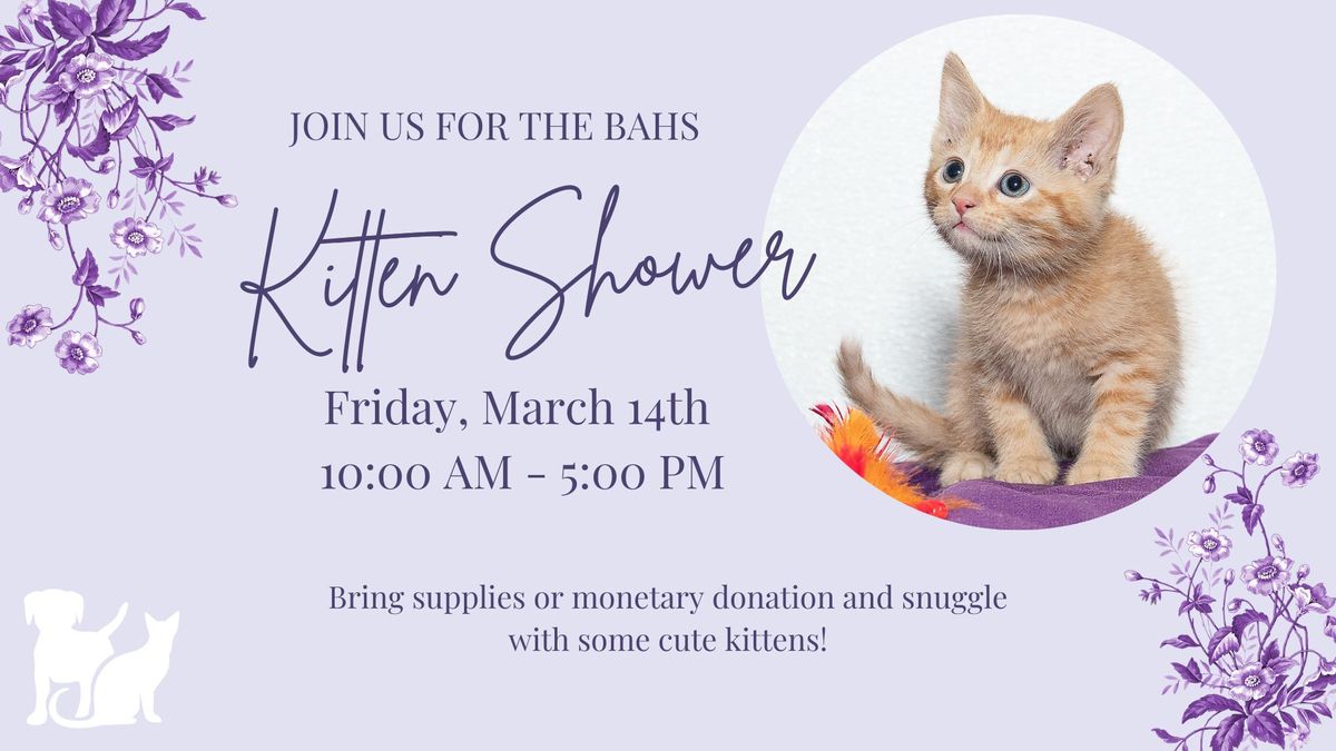 Kitten Shower