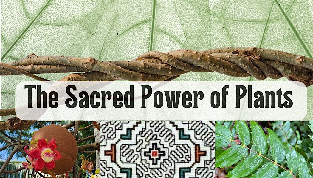 Sacred Plant Medicine Talk