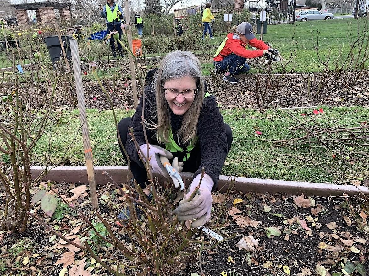 Municipal Rose Garden Park, Annual Fall Clean-up!