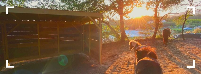 Journ\u00e9e Porte ouverte