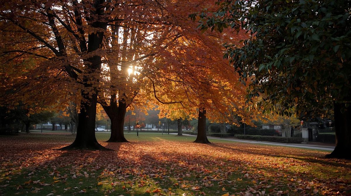 Autumn's Deep Rest Sound Bath