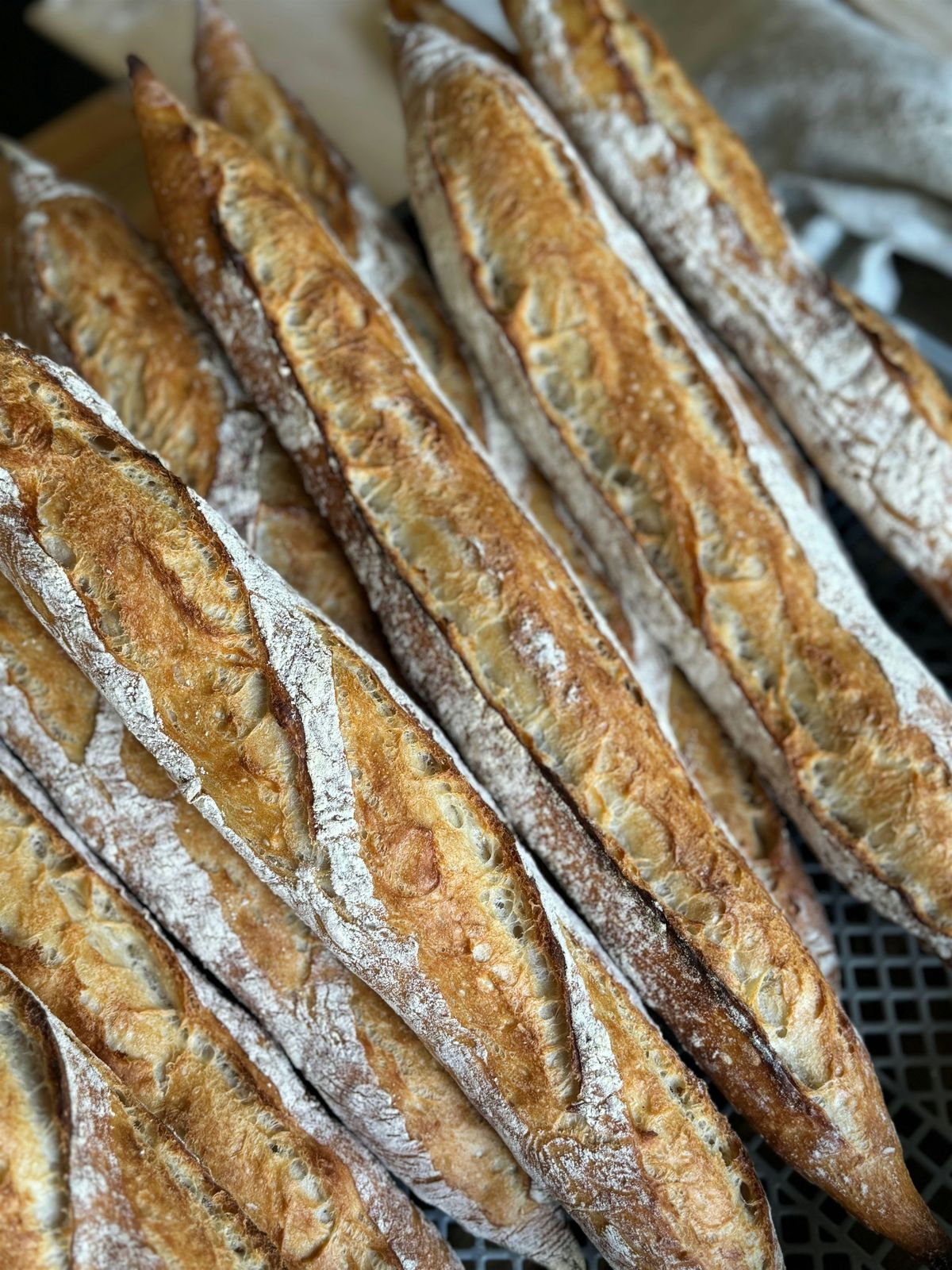 Mastering the French Baguette