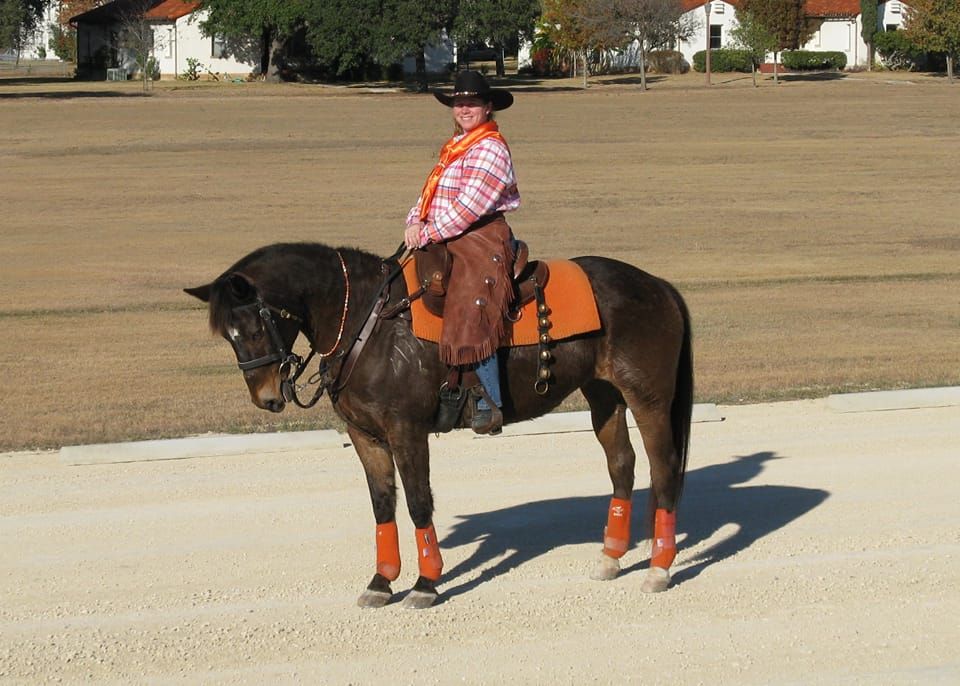 Horsemanship for the everyday rider: stop, back, go