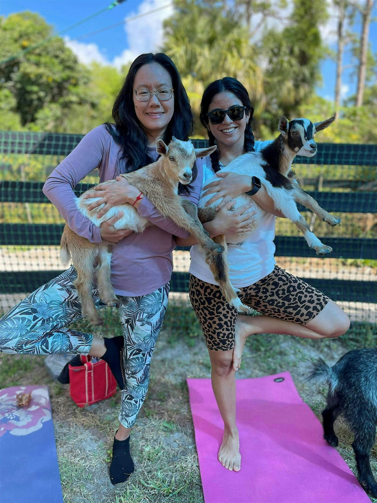 Fun Goat Yoga with Baby Goats, Farm Tour, Music