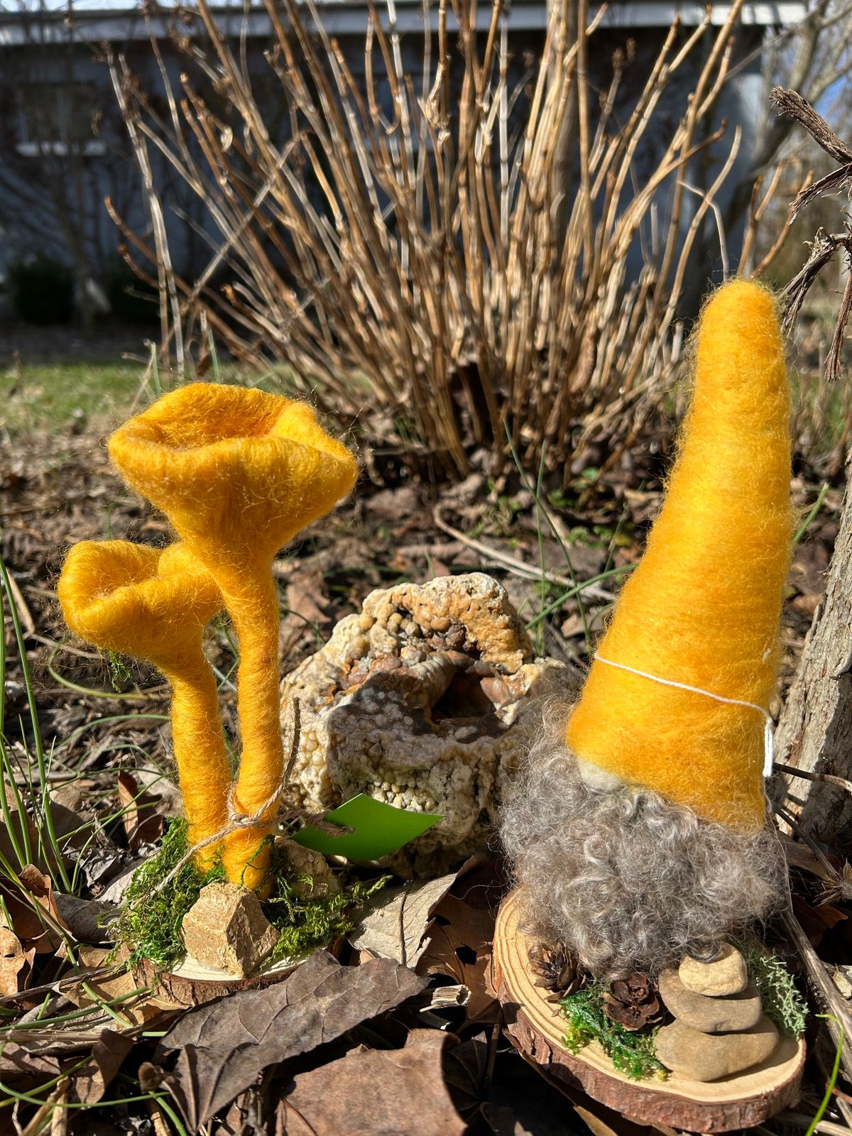 Mountain Mushroom Festival