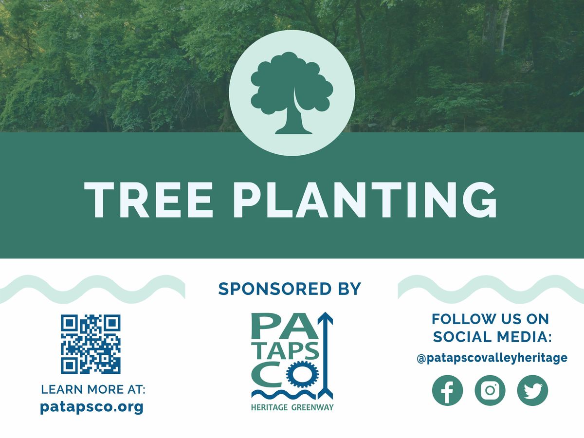 PHG Tree Planting & Maintenance: PVSP Hollofield