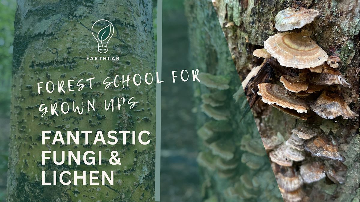Forest School for Grown Ups: Fantastic Fungi and Lichen