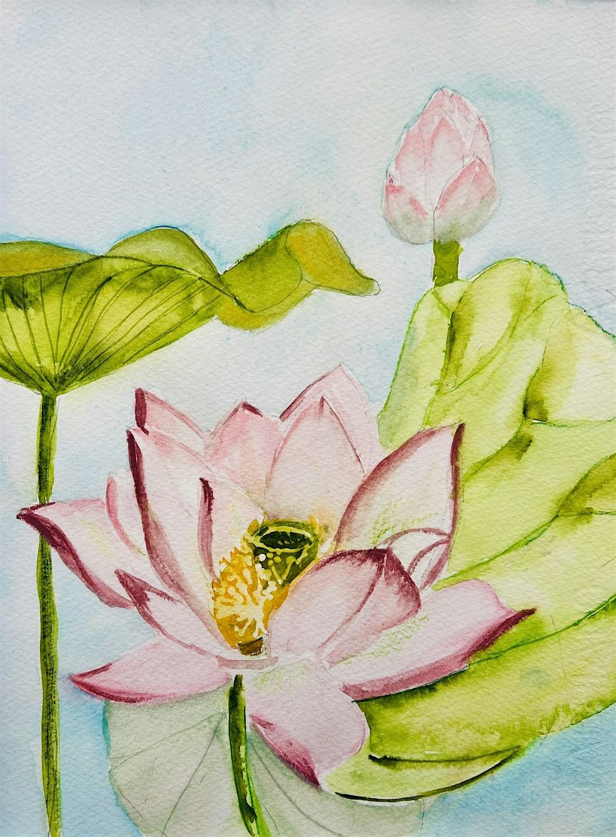 Water Lilies in Watercolors with Phyllis Gubins