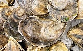 Premiere Series: Merroir\u2014The Wonderful  World of Oysters\u2014$150