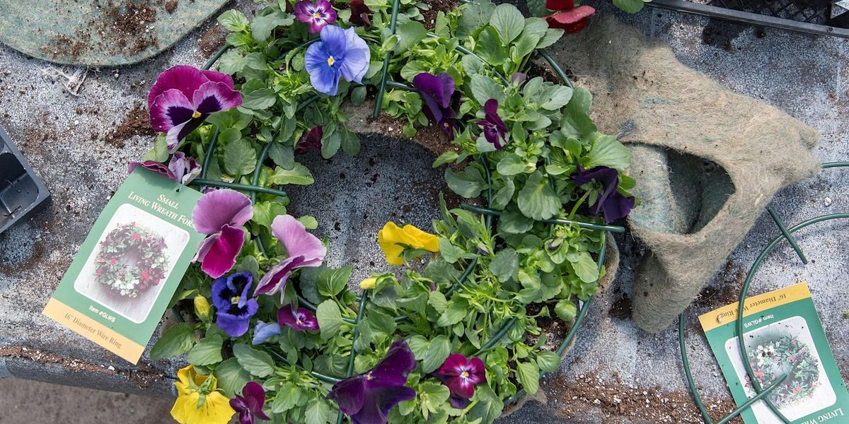 Pansy Wreath Workshop