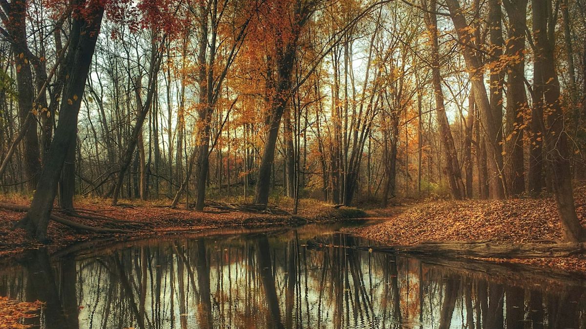 Fall Equinox Gathering