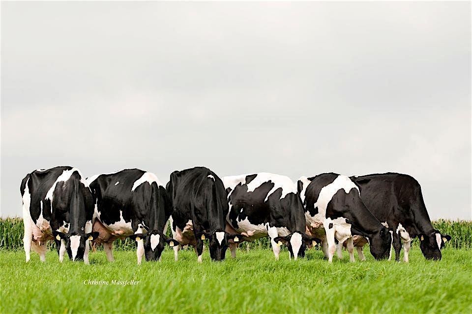 Dairy Dynamics Workshop- Truro, NS