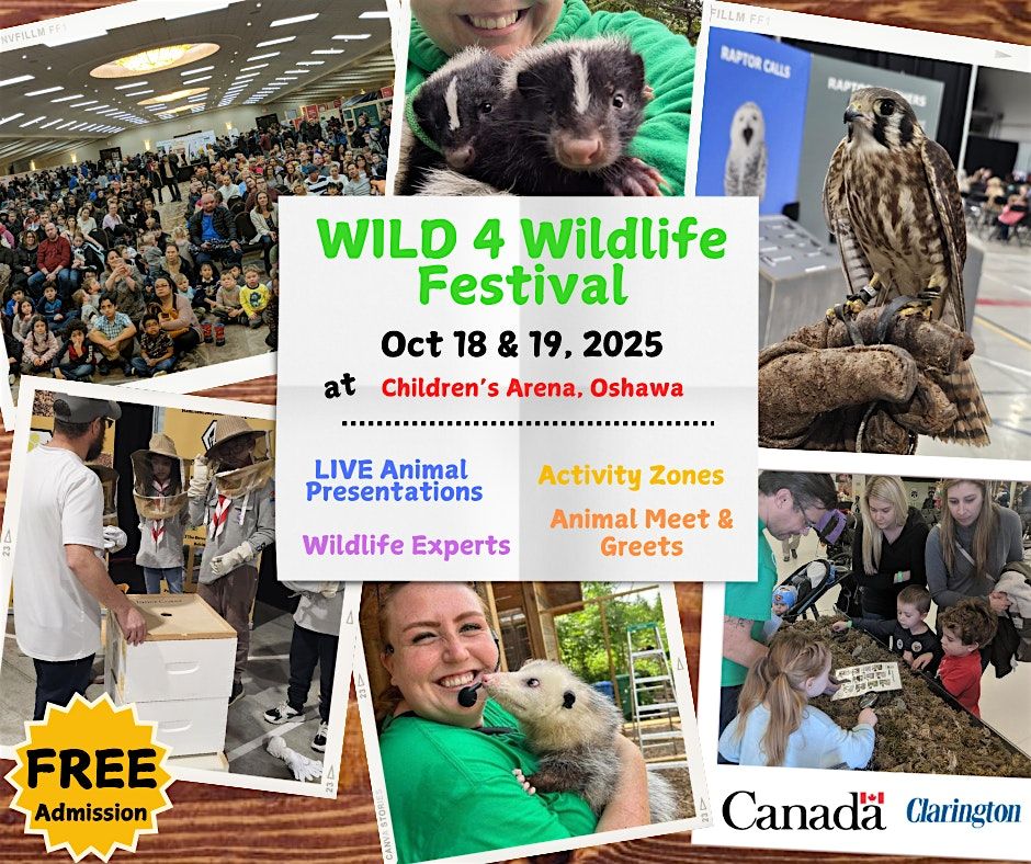 WILD 4 Wildlife Festival