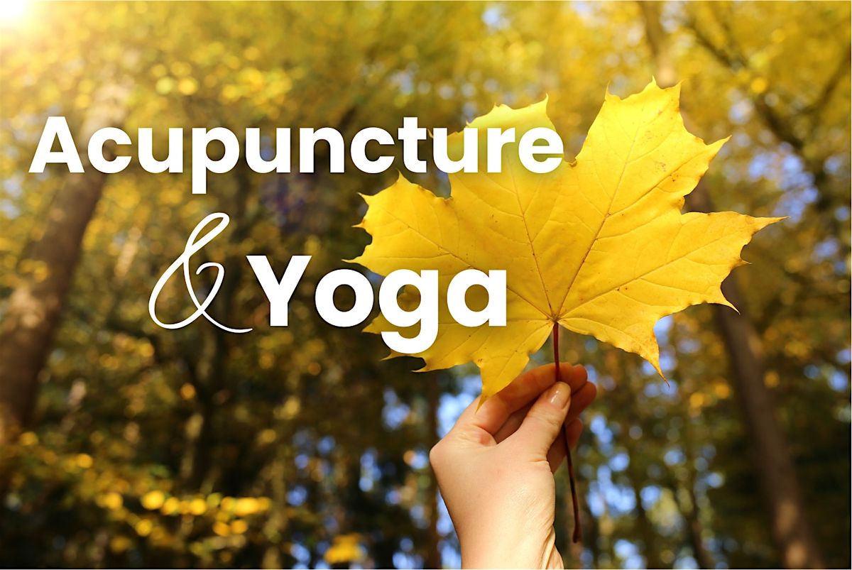 Softening Into Fall: Yin Yoga & Acupuncture Experience