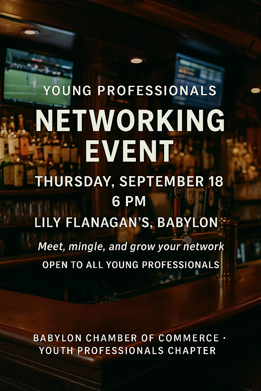 Young Professionals Networking Event