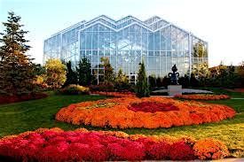 AFSN - Fall Meijer Garden Meet Ups