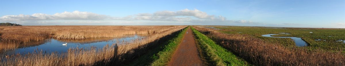 Life Changing: Way markers of mid-winter