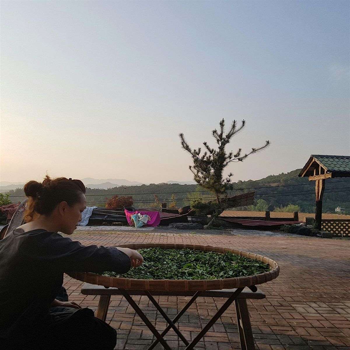 A Workshop about Tea & Taste: Create Your Own Pairing
