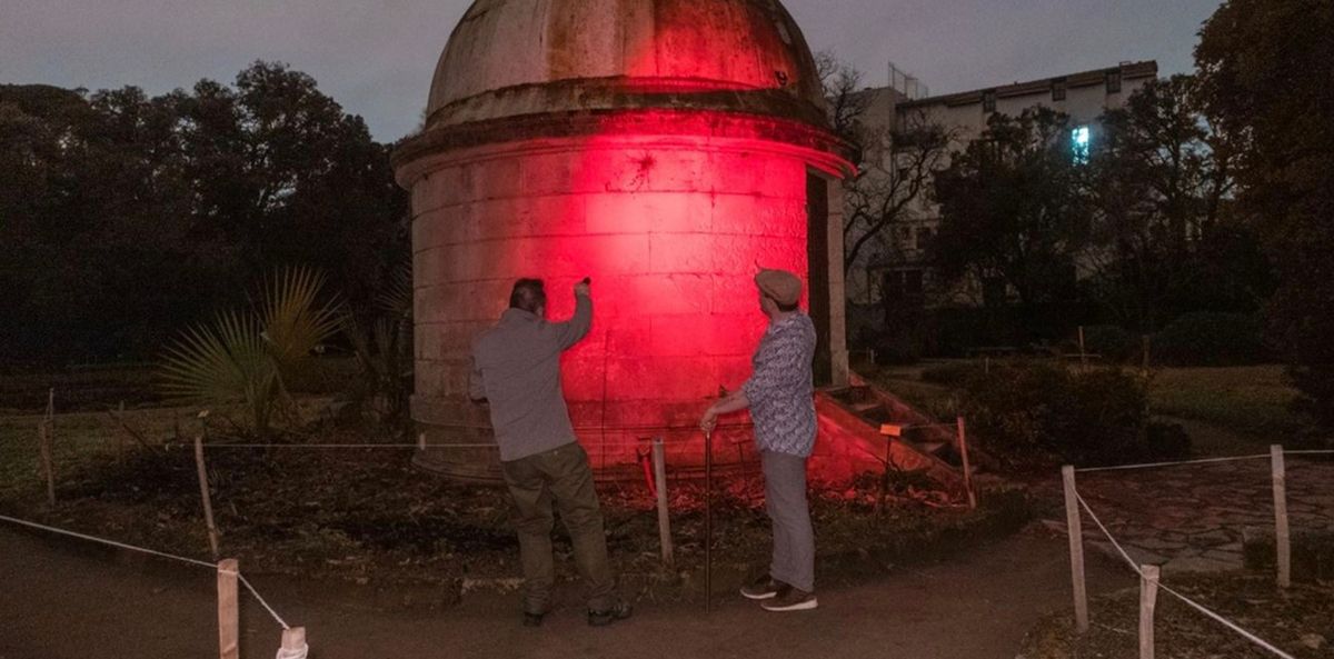 Echapp\u00e9e nocturne au Jardin des plantes - Sp\u00e9cial No\u00ebl