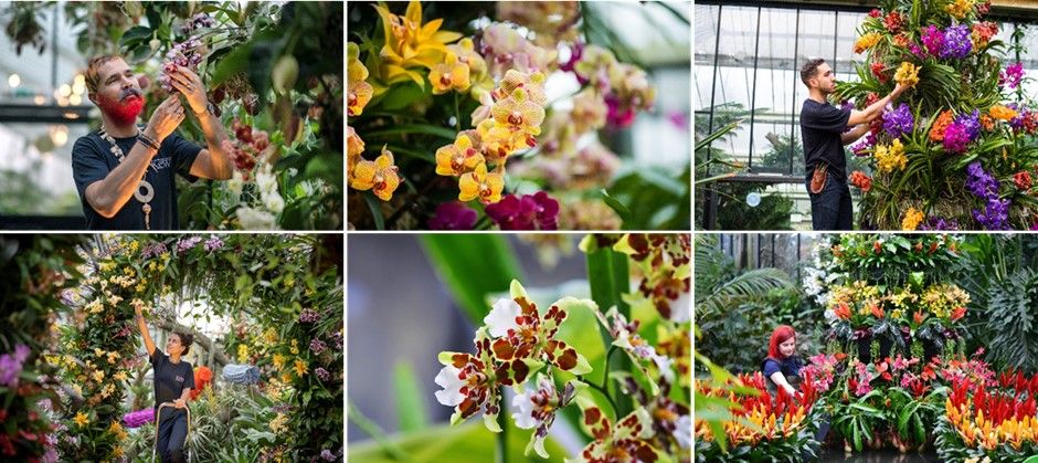 Royal Botanic Gardens Kew - Orchid Festival