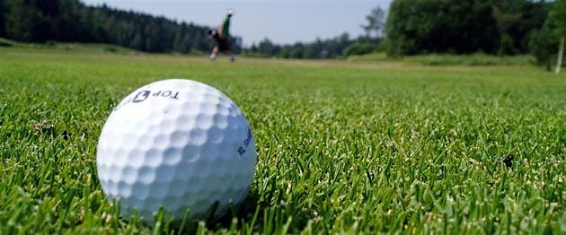 2025 Rochester Traveling Golf Leagues