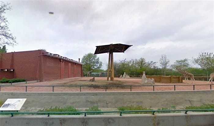City Park Zoo Pursuit-a-Palooza