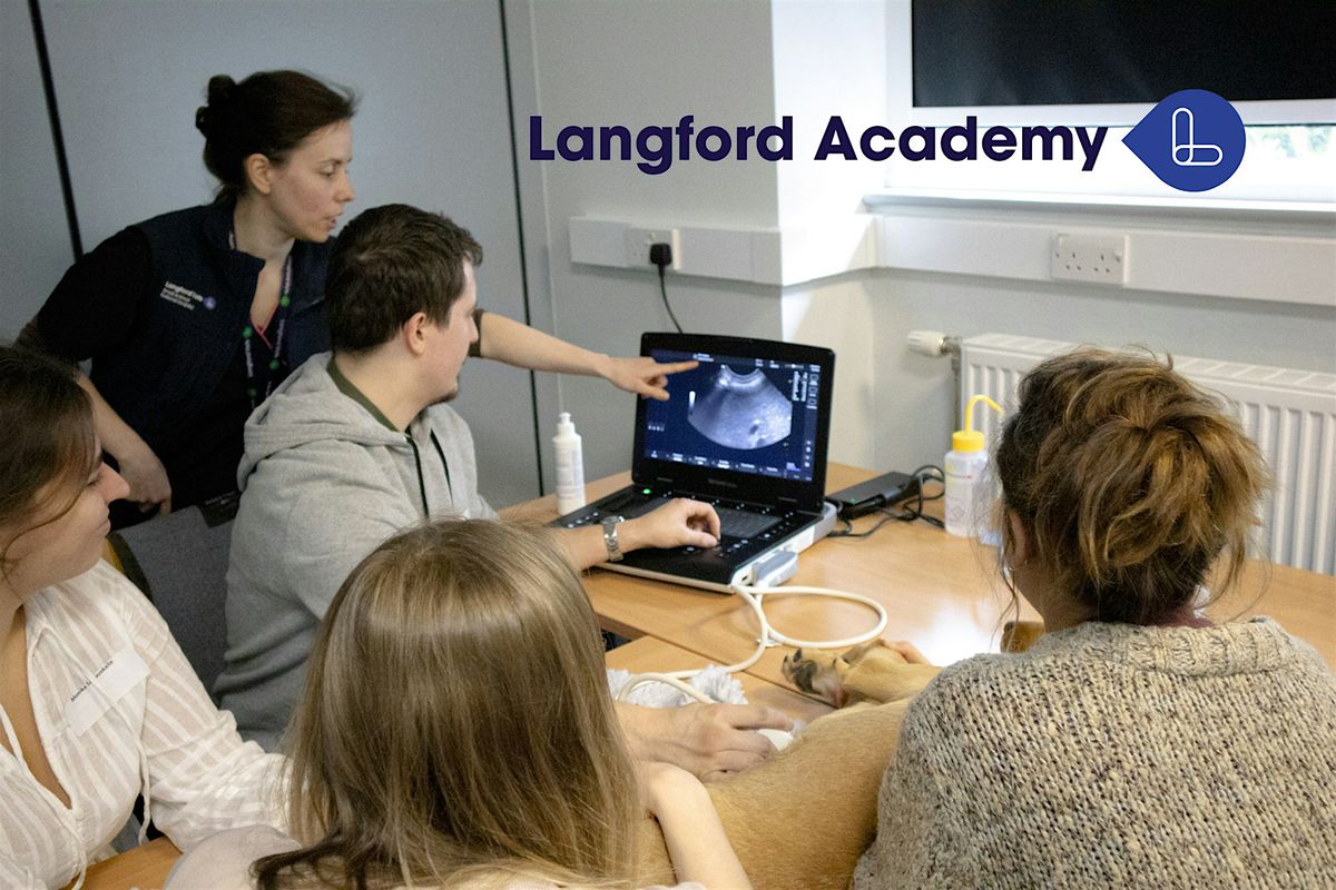 Ultrasound Practical Day: Introduction to Abdominal Ultrasonography