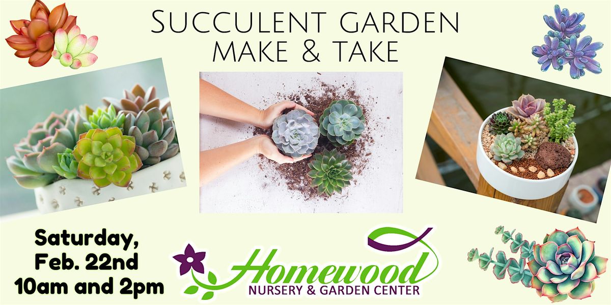 Succulent Garden Make & Take - 2PM