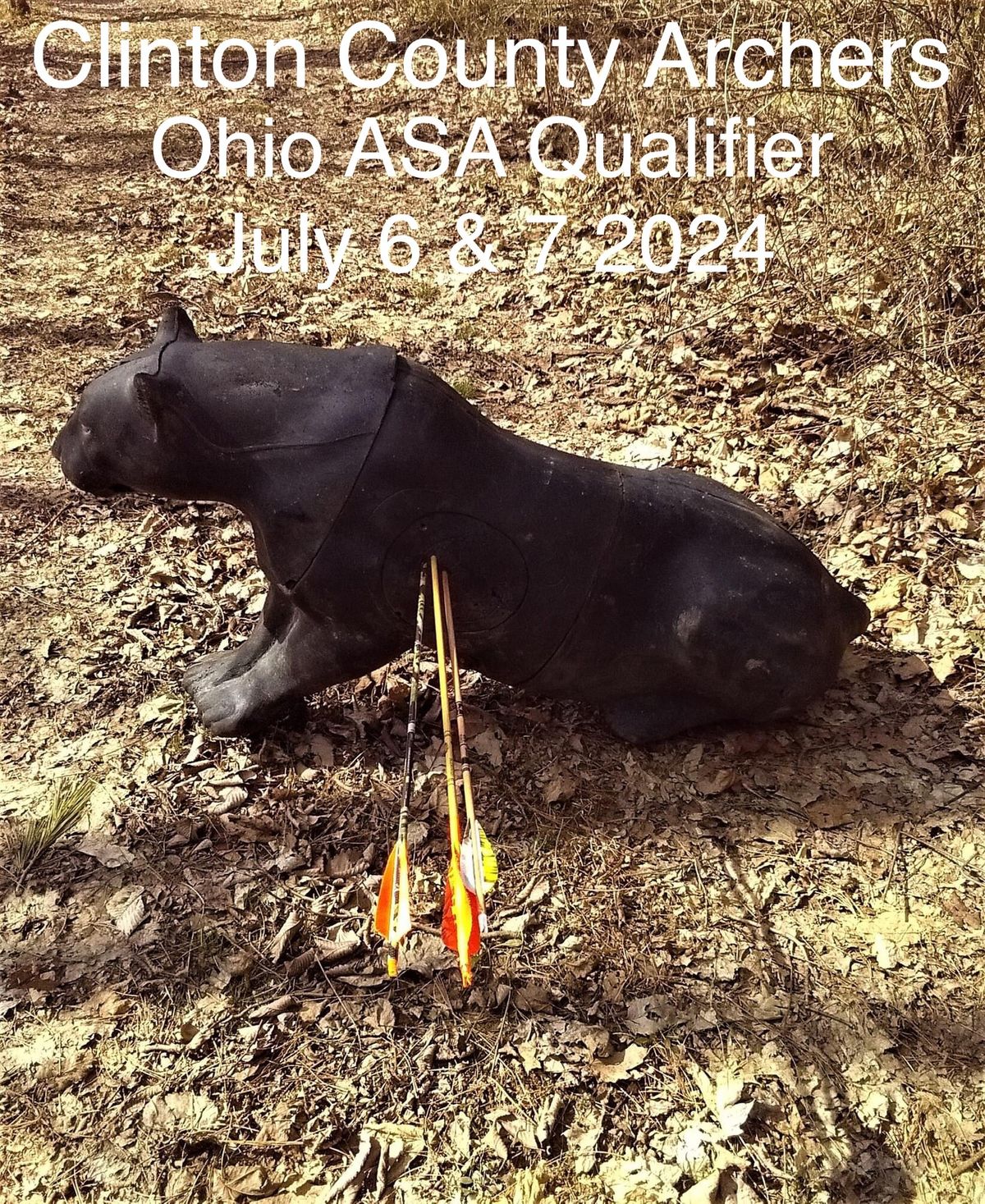 Clinton County Archers Ohio ASA Qualifier 
