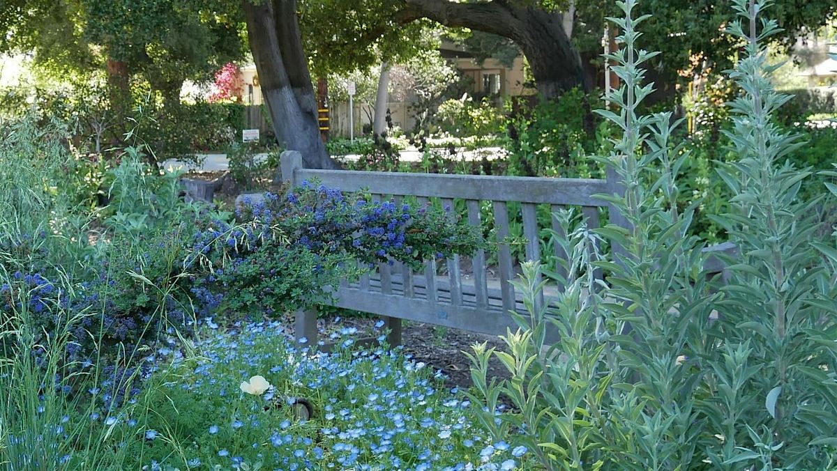 April Tour of Elizabeth Gamble Garden: Native Plants