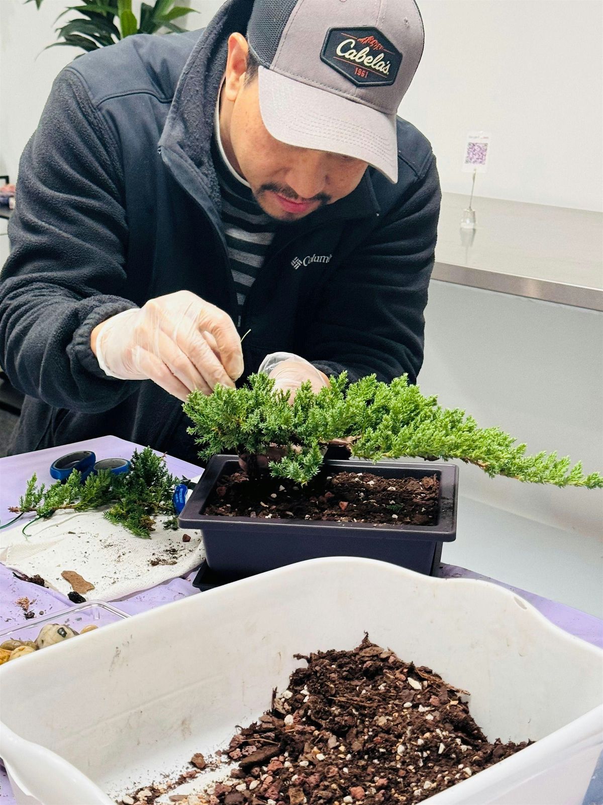 Introduction to the Art of Bonsai