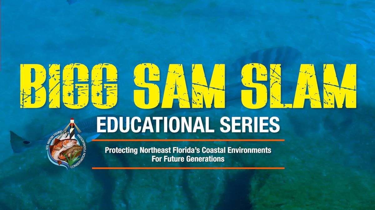 Bigg Sam Slam | Educational Series | Vilano Landing