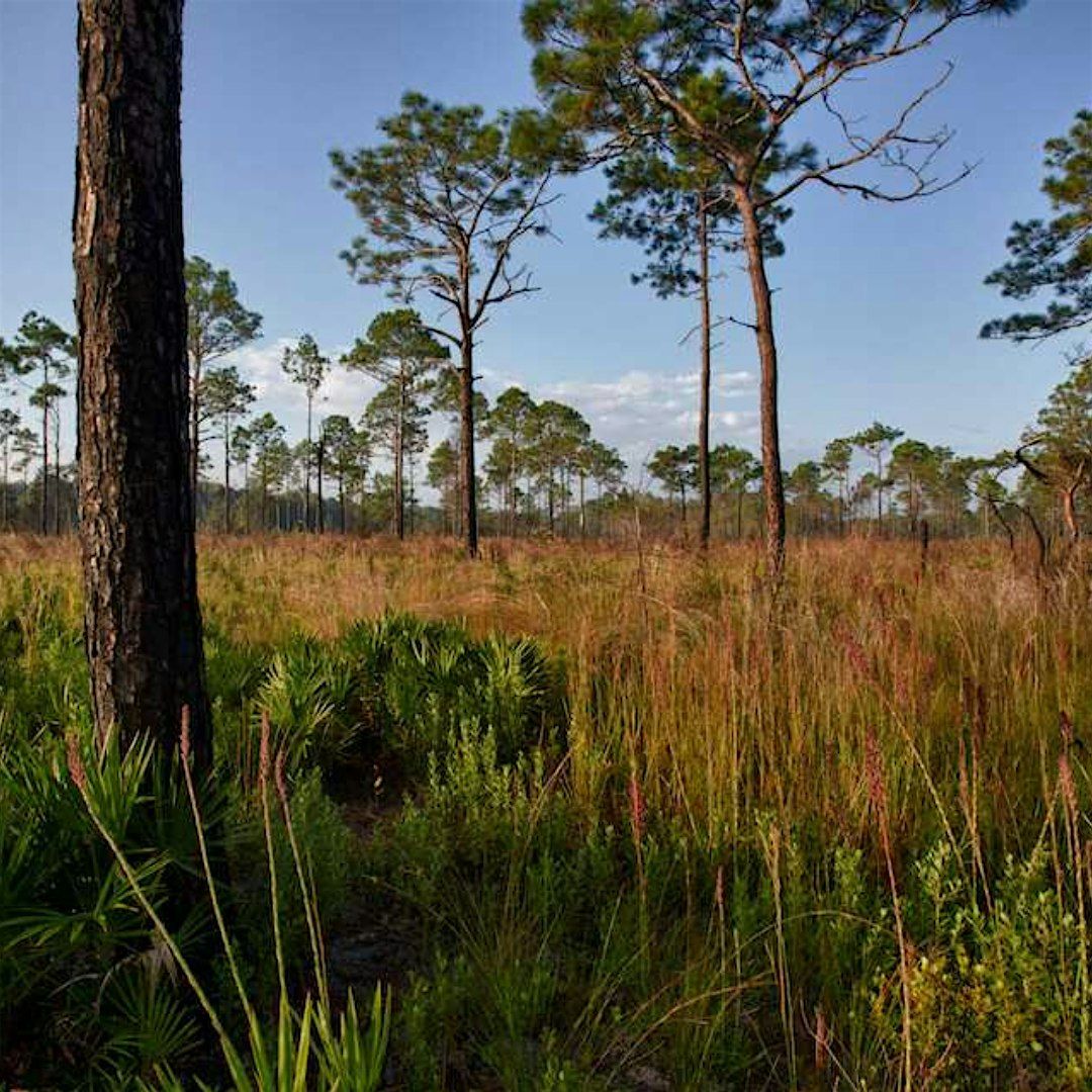 Fire in the Wild Hike at Lake Indrio Preserve