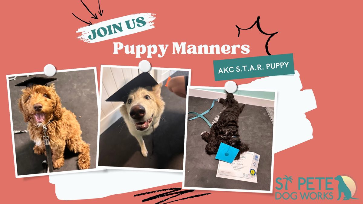 Puppy Manners (AKC S.T.A.R Puppy)