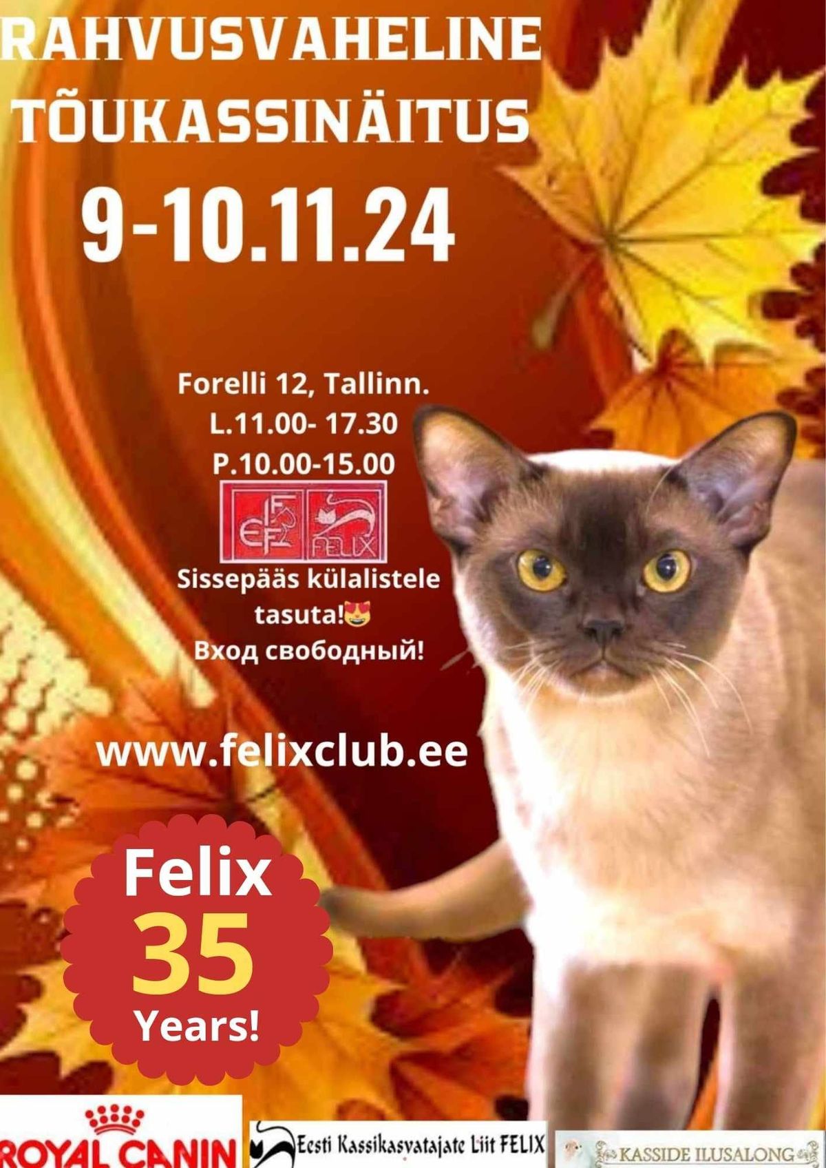 WELCOME TO 240 and 241 INTERNATIONAL CAT SHOWS IN ESTONIA , TALLINN , FELIX IN NOVEMBER 09 -10th