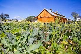 Coastal Root Farms- Educational Program