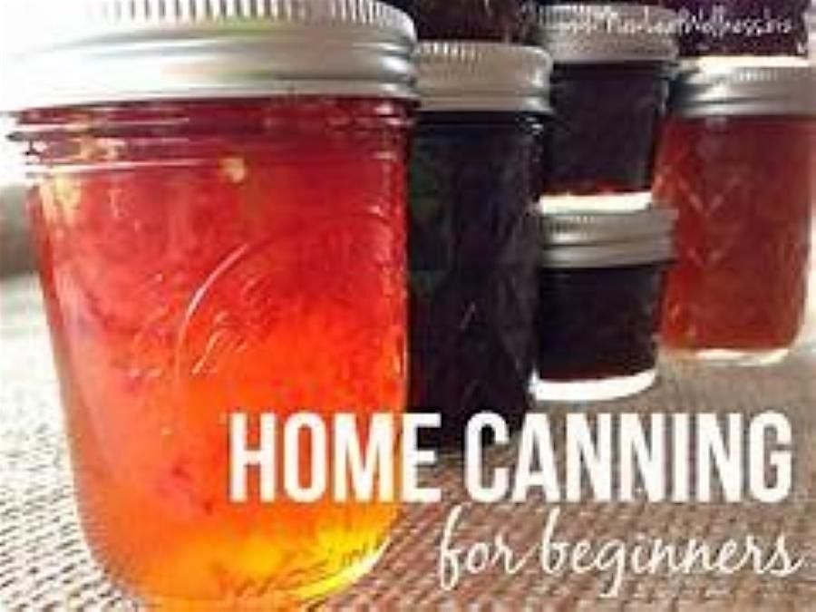 Homestead Prepping: Canning 101: Making Jelly