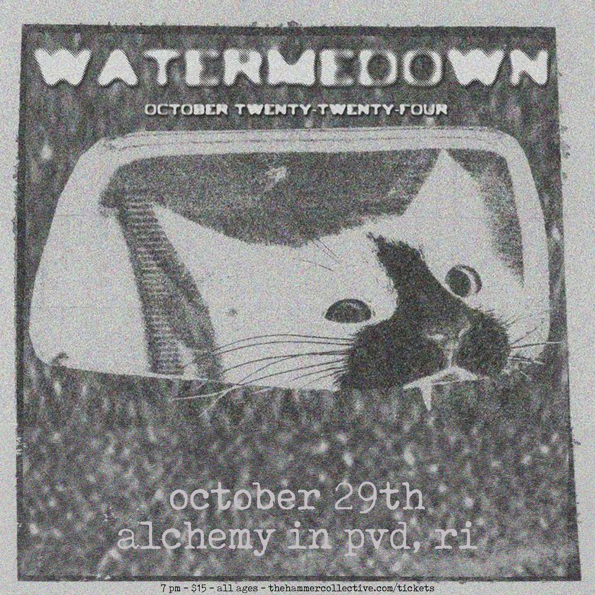 watermedown at Alchemy