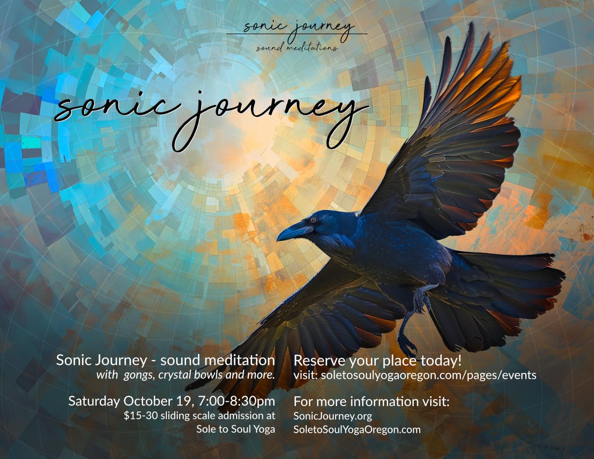 Sonic Journey at Sole to Soul Yoga in Albany