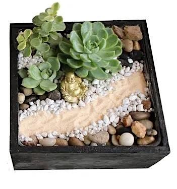 Create Your Own Terrarium