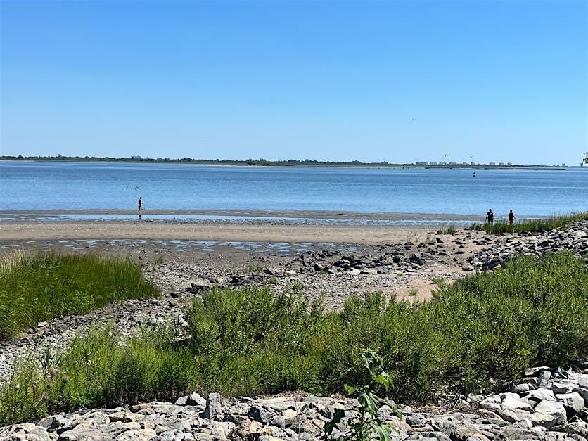 International Coastal Cleanup Day: Shoreline Cleanup