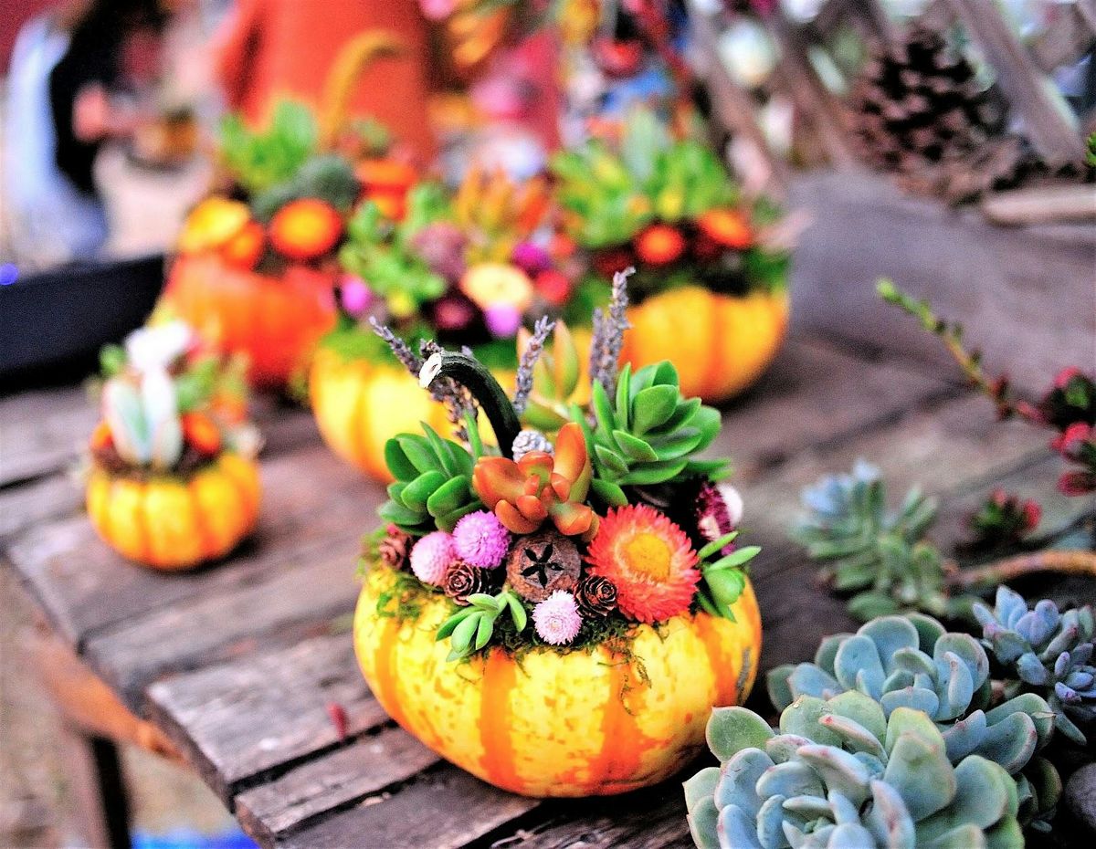 Forever Bloom Farm - Fall Centerpiece Workshop \u2013 Pescadero, CA \u2013 10\/04\/25