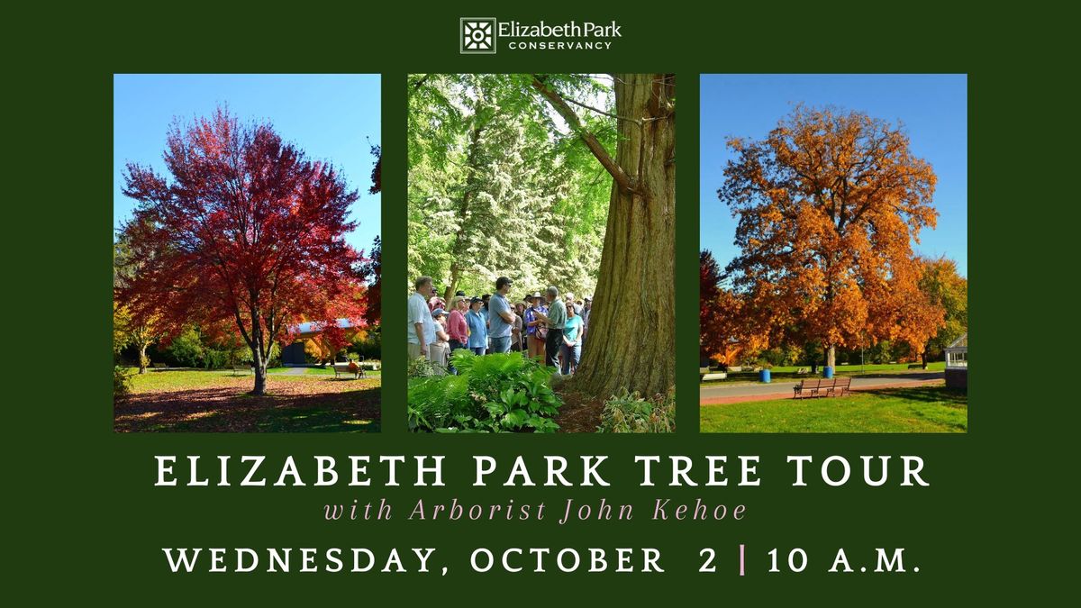 Park Tree Tour