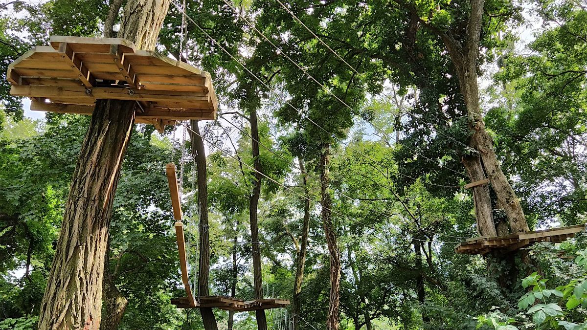 Go Ape Treetop Challenge (from Lydney)