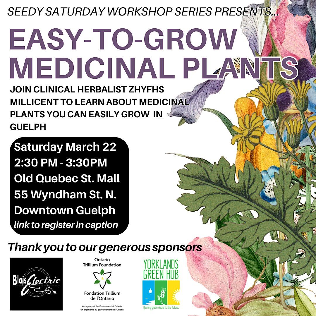 Easy-to-Grow Medicinal Plants